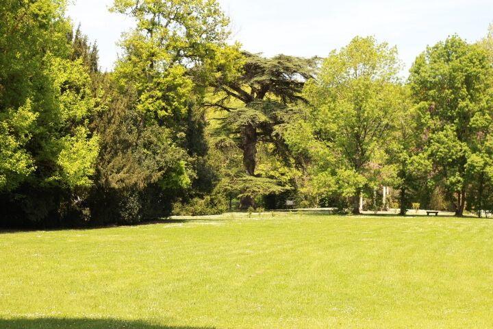 Bessières Chateau Castelrives מראה חיצוני תמונה